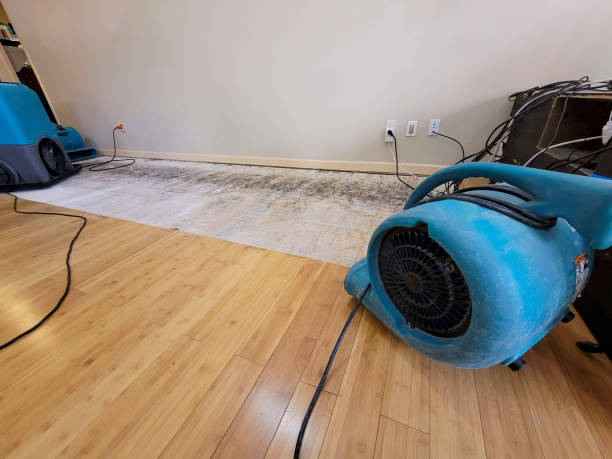 Professional Structural Drying technician working in Grandview, OK